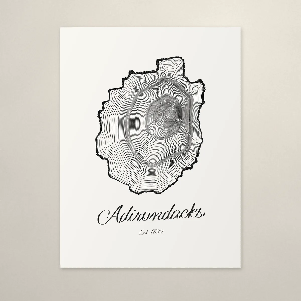 Ring & Ridge poster on a wall: tree rings in the shape of the Adirondack Park with Adirondacks, Est. 1892 painted below.