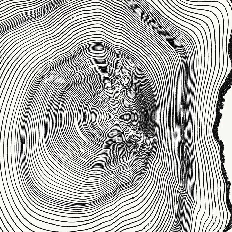 Close-up of the print: the heart of the tree sits right where Mount Marcy is on the map.